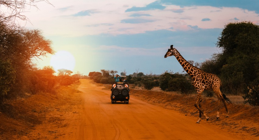 Tour and Holiday Packages to Kenya