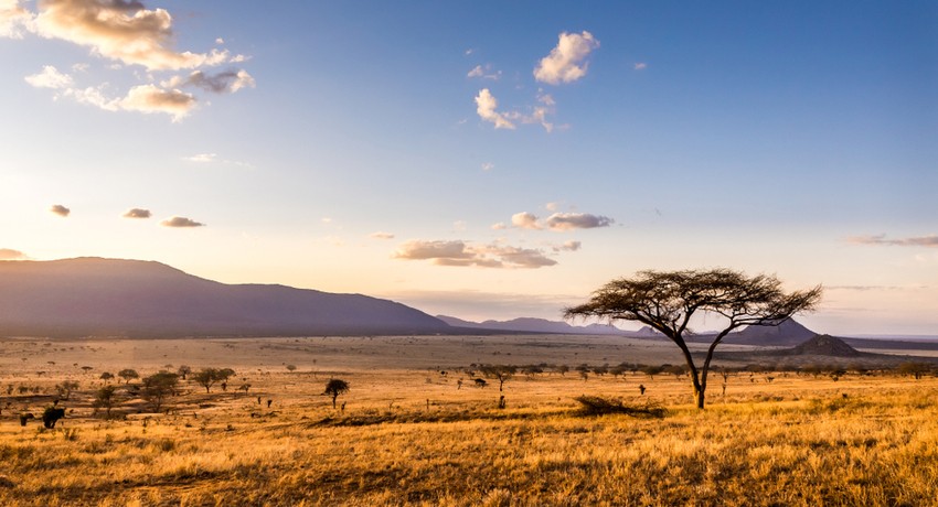 Book Kenya Tour Holiday Packages from Dubai