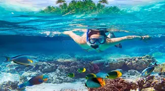 Mnemba Snorkeling Half Day Tour