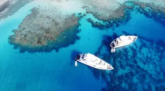 Tour to Ras Mohammed by Bus