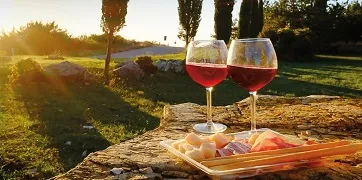 Countryside and Wine Tasting Group Tour