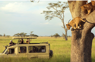 Travel to Tanzania