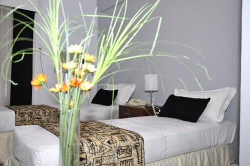 Parana Hotel Plaza Jardin