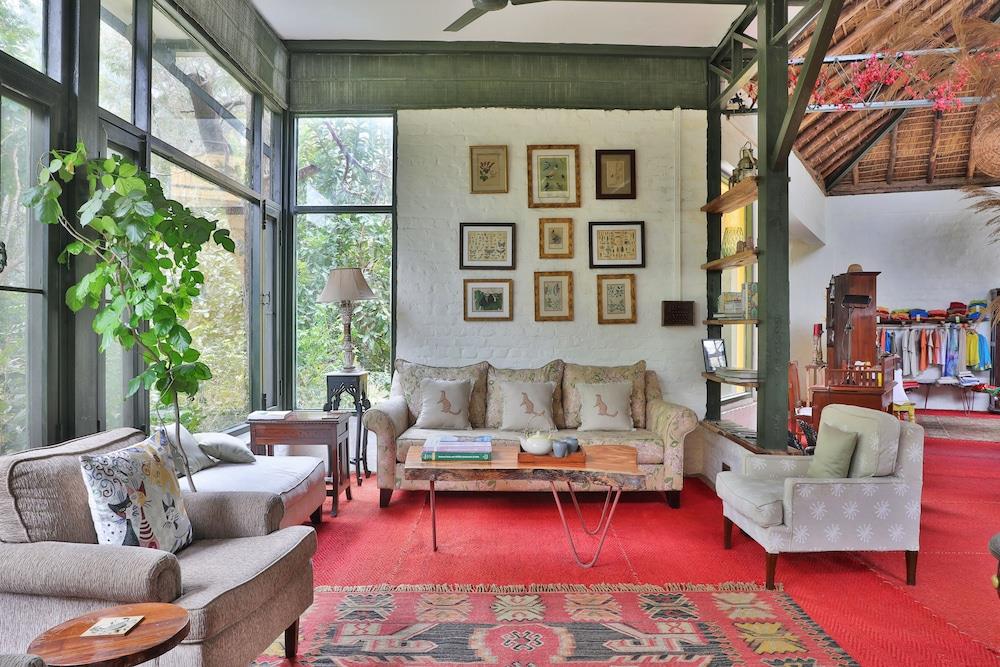 Jim's Jungle Retreat