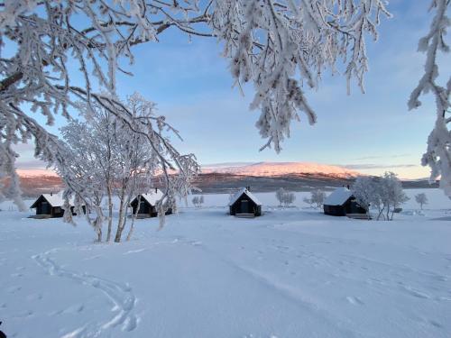 Arctic Land Glass Igloos