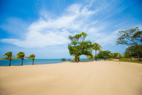 Lawson Rock Parrotfish 206 Condo