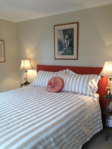 Every Man And His Dog Vineyard B&B