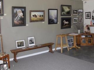 Burkes Pass Country Motel