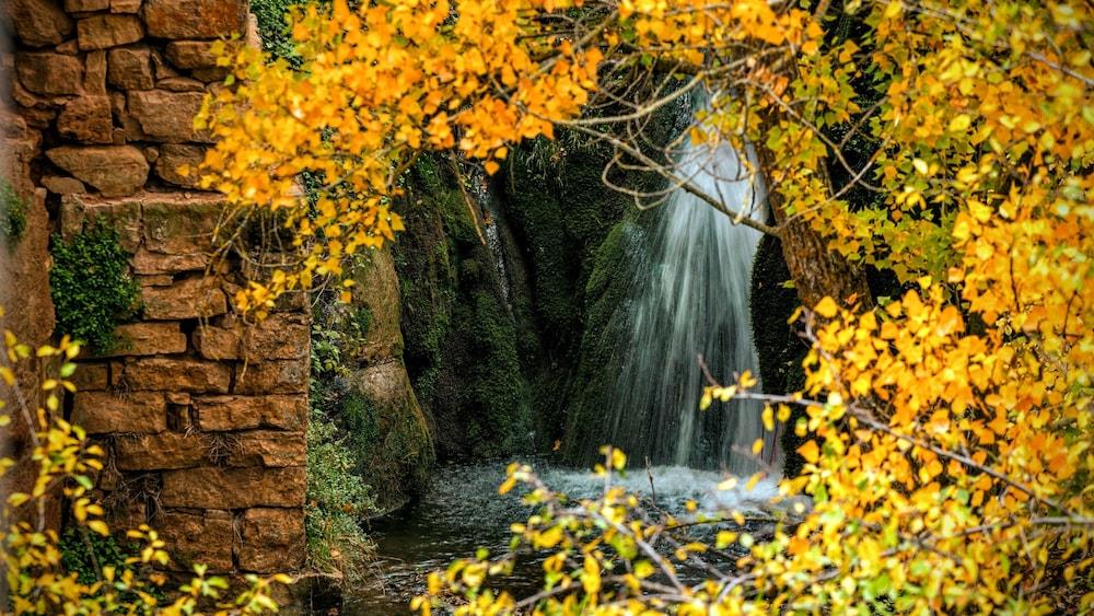 Hotel Check in Checa