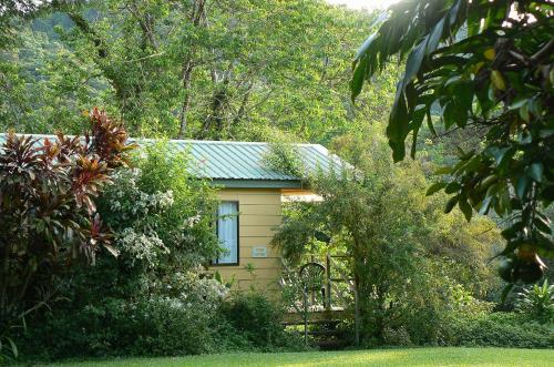 Daintree Valley Haven