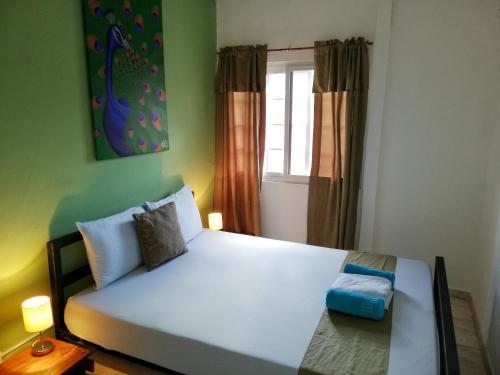 Bodhi Hostel El Valle