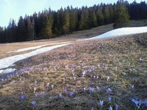 Ubytovanie Na Briezku