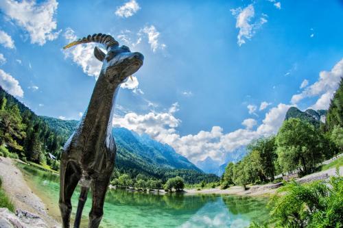 A Million Dollar View