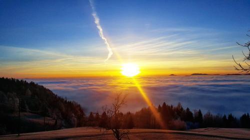 Apartmaji Golob Golte