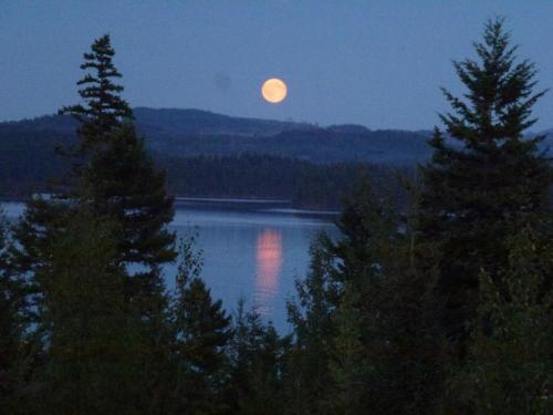 Little Black Bear Lodge B & B