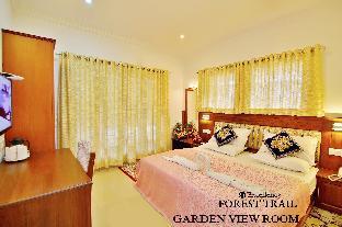 Excellency Forest Trail