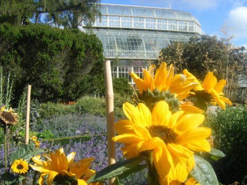 Abberley House Bed & Breakfast