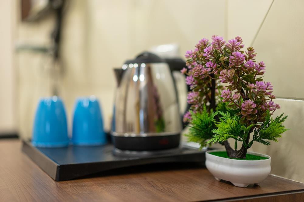 Hotel Manas Continental