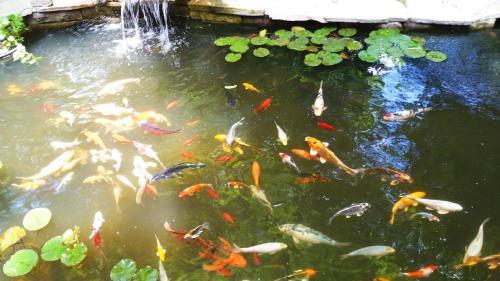 Forest Hill Bed And Breakfast