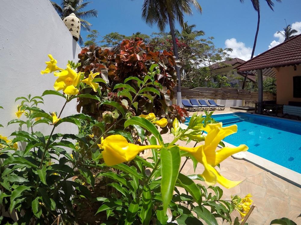 Hakuna Shida Guesthouse