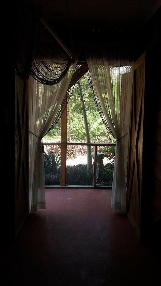 Serenity Retreats Belize A Vegan Resort