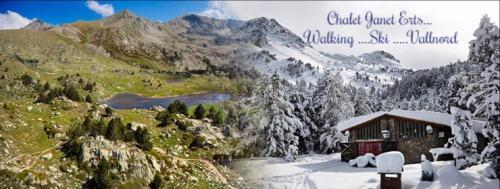 Amp Promocions Janet