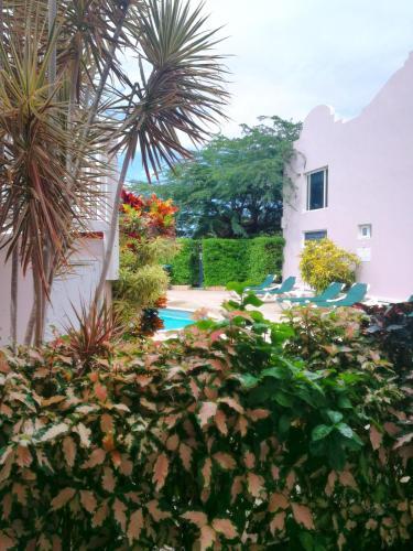 Agua Clara Eco Suites