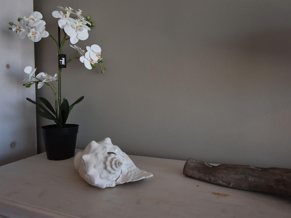 Cozy Apartment In De Haan With Sea View