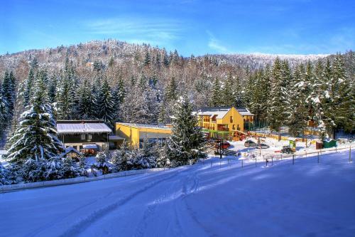 Wellness & Spa Hotel Certov