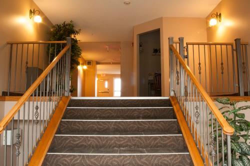 Misty Mountain Inn & Suites