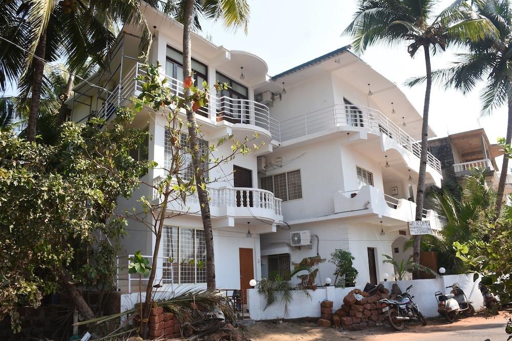 Amor By The Walk Stayss