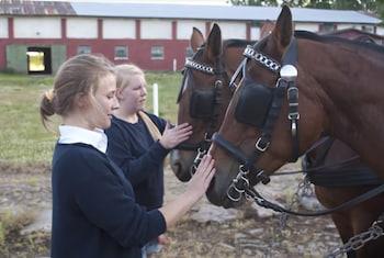 Holtegaard Bed & Breakfast