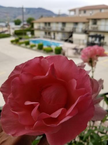 Lakeview Motel & Suites