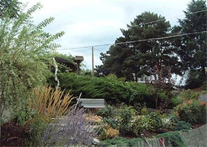Above The Beach Bed And Breakfast