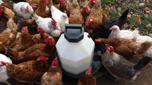 Chalet Bed and Breakfast, Niagara-on-the-Lake