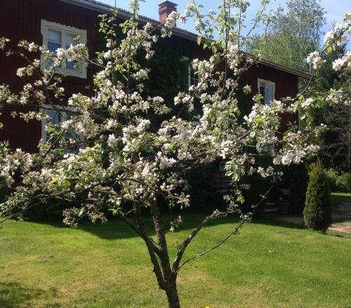 Bed & Breakfast Sypressi