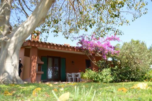 Nuova Valmar Rei Plaia