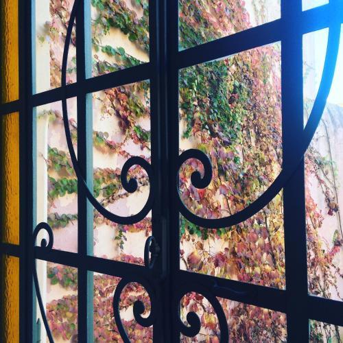 Casa Viva Hotel Boutique