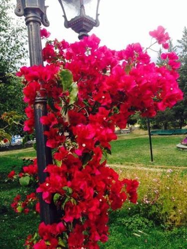 Jermuk Olympia Sanatorium