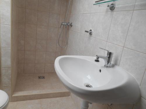 Ms Hotel Sportszallo