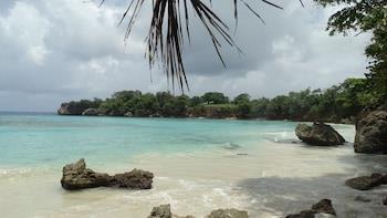 Hôtel Jamaïcan Colors