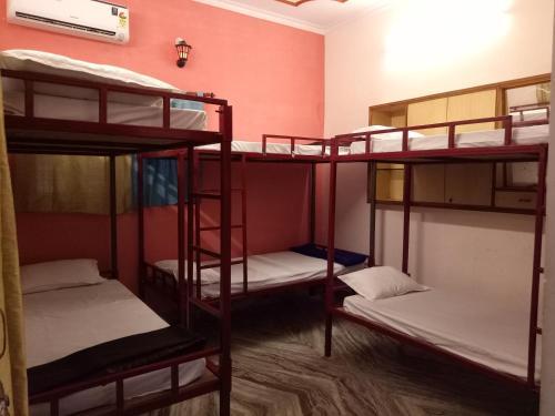 The Tripling Backpackers