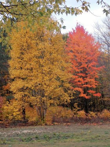 Bear And Butterfly Bed And Breakfast