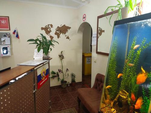 Hostels Rus Yugo Zapadnaya