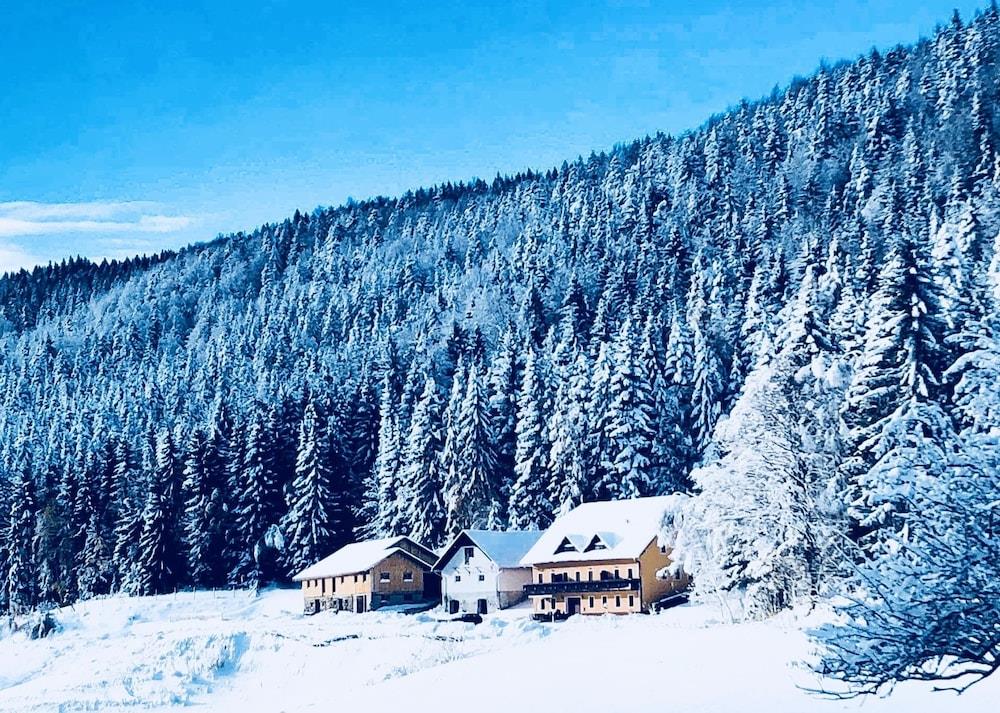 Apartments Planina Pod Sumikom