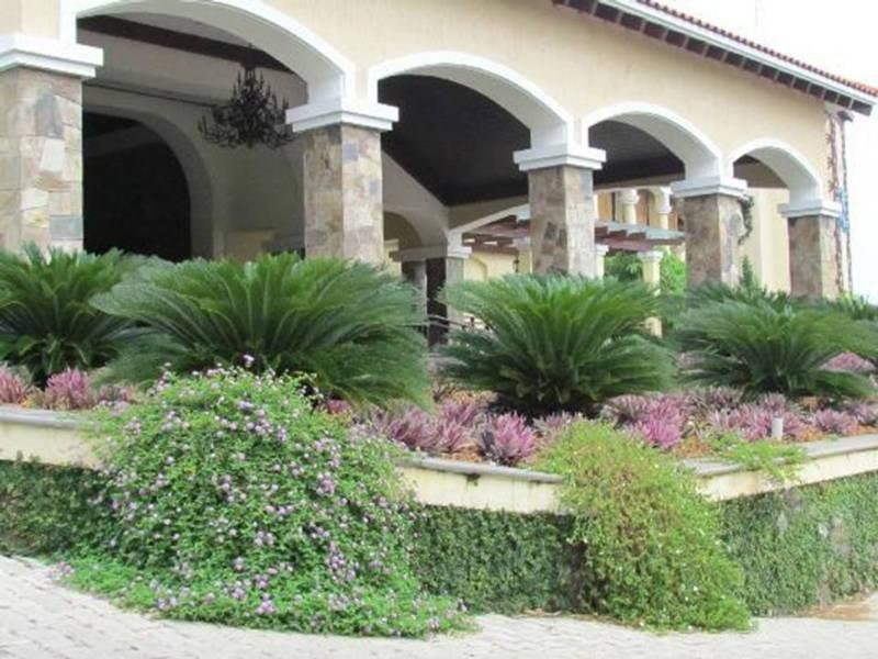 Bonjour Bonheur Ocean Spray