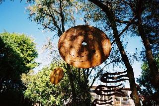 Mapua Wharf Accommodation