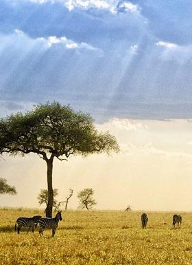 Kenya